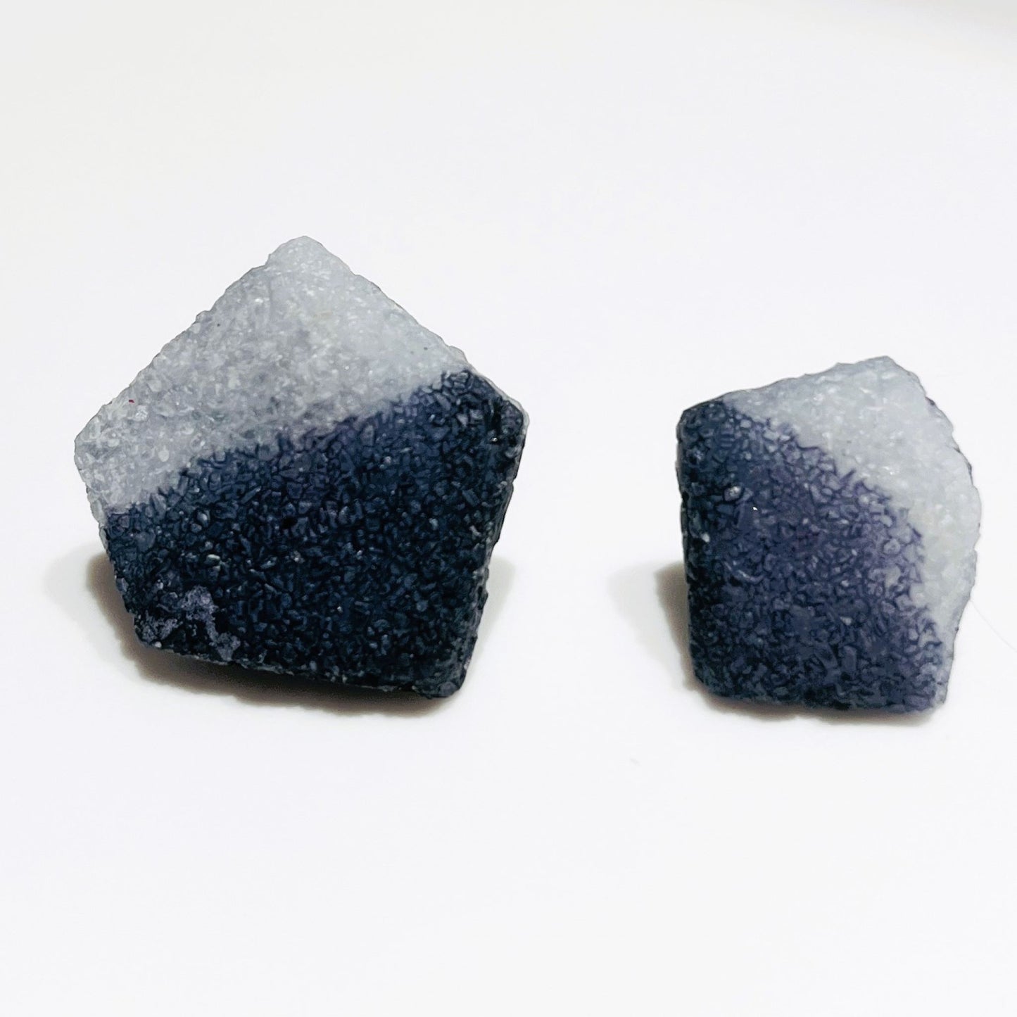 Salis Black & White Earrings