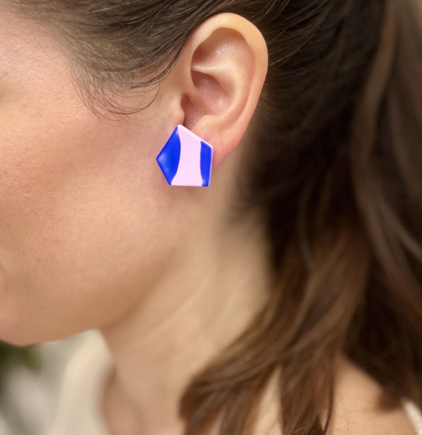 Ftery Pink & Blue Earrings