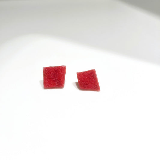 Salis Rectangular Organic Red Earrings